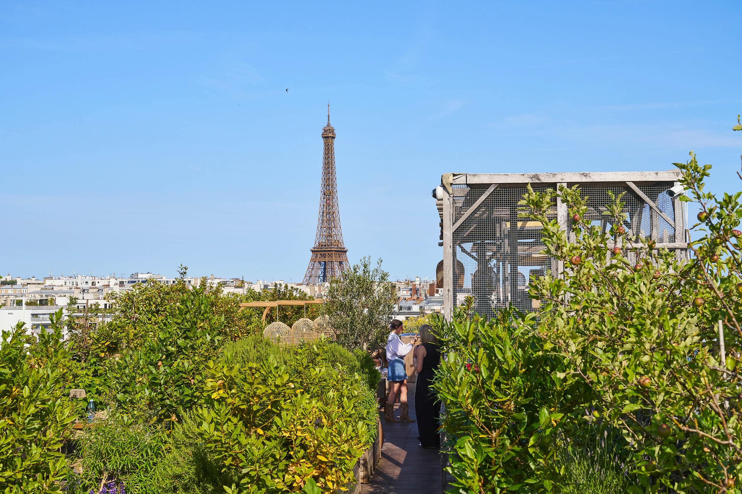Rooftop-Villa-Minuty-Brach-Paris-crédit-photo-Charles-Jean