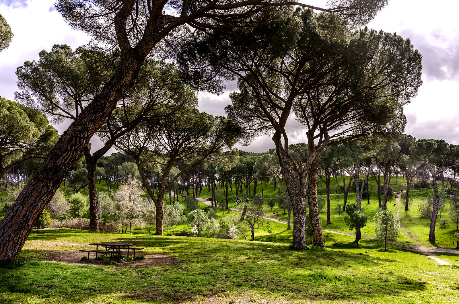 Dehesa-de-la-villa-madrid