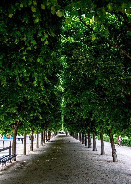 jardin du palais royal paris