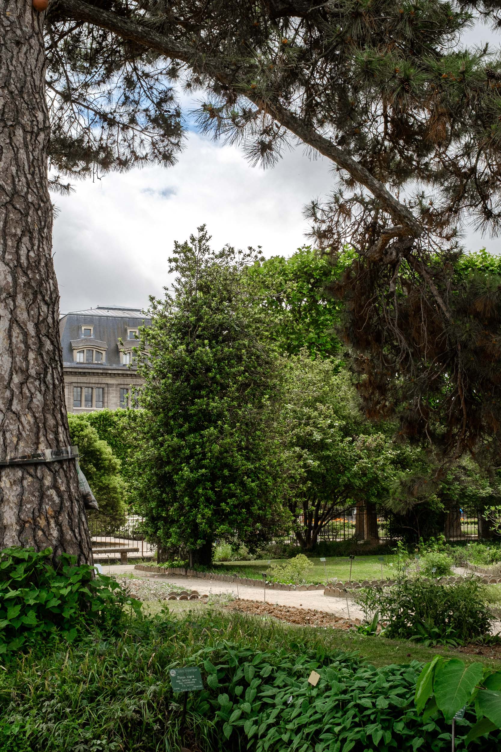 Jardin Anne Frank Paris